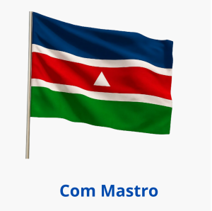 Bandeira grande Tafetá 150x100cm 1 Lado   